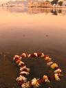 Temple offering floating in the waters.